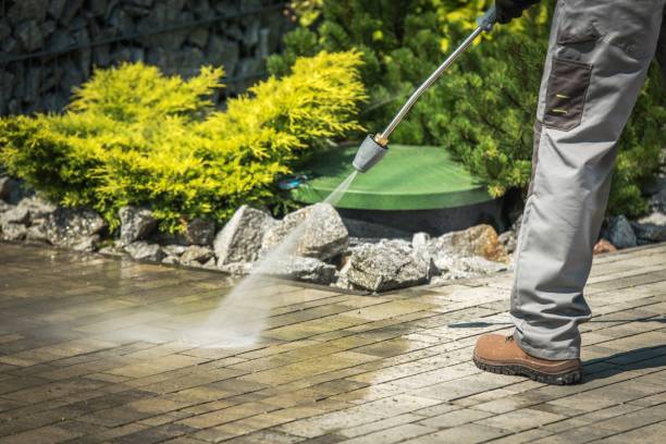 Trusted Berkeley, CA Pressure Washing Services Experts